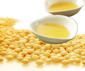 Soybean Oil Pressing Line