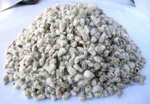 Cottonseed Oil Pressing Line